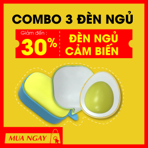 Combo 3 Đèn ngủ cảm biến LED Điện Quang ĐQ LNL Cảm biến quang