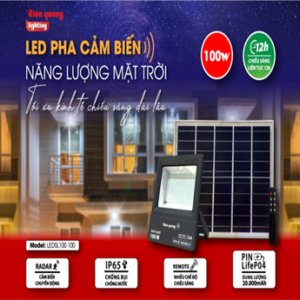 Đèn năng lượng mặt trời cảm biến chuyển động, LED Pha NLMT Điện Quang 100W